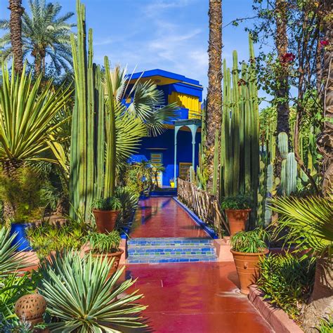 jardin majorelle entrance fee.